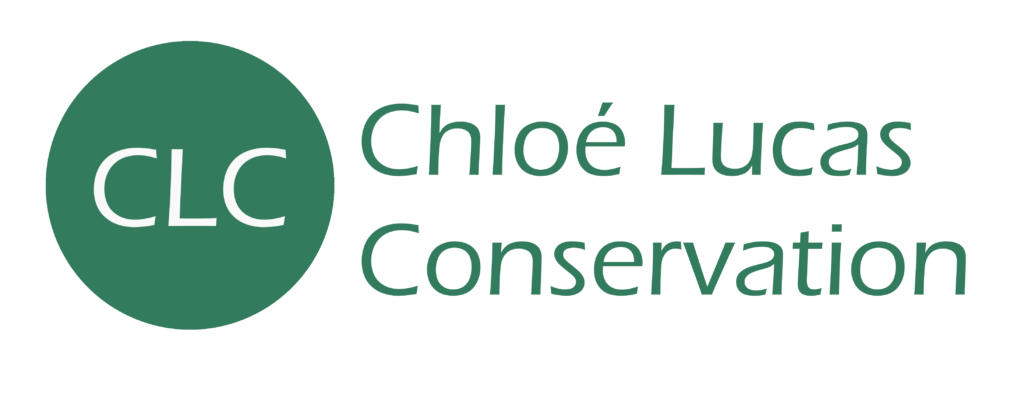 Logo Chloé Lucas Conservation