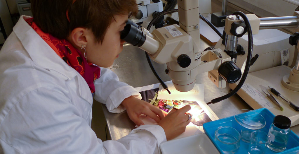 Chloé Lucas Conservation - entreprise de conservation et restauration de photographie au Canada