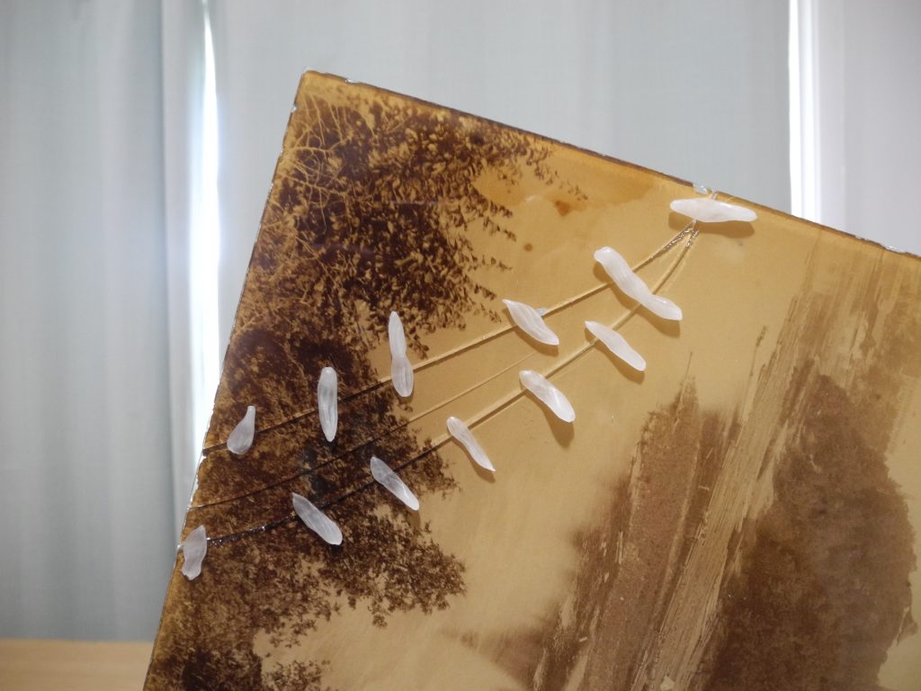 During conservation treatment of a photograph of the original Canadian Parliament building. Temporary reassembly of the fragments with dental wax.