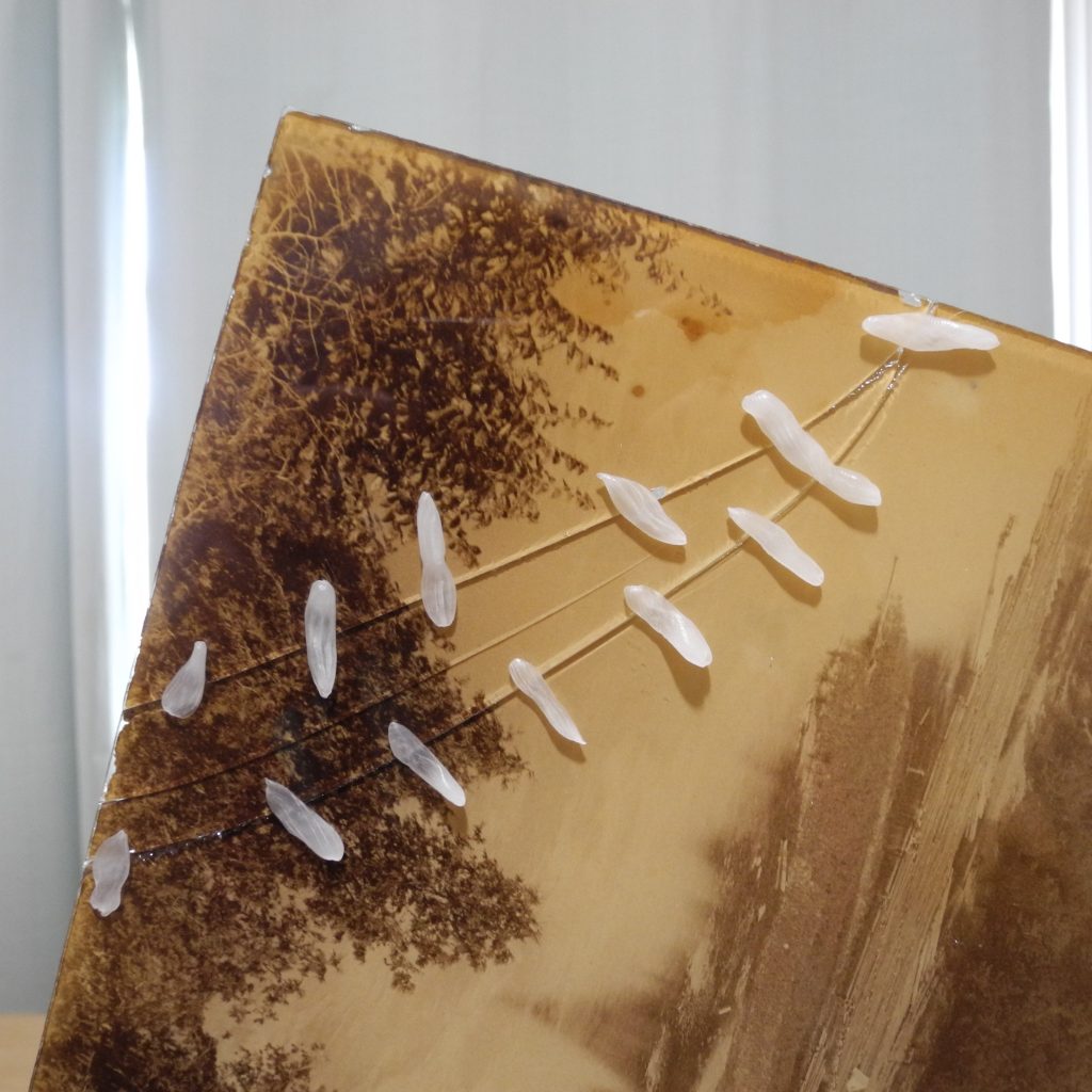 Image pendant traitement de conservation d'une photographie de l'édifice original du Parlement canadien. Remontage temporaire des fragments à l'aide de cire dentaire.